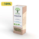 Bio-Eukalyptus-Tee von Bioptimal, dampfender Eucalyptus-Tee in einer Tasse, frische Eukalyptusblätter sichtbar