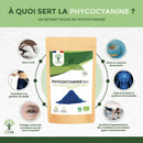 Bio Spirulina Pulver von Bioptimal, blaues Spirulina- und Phycocyanin-Extrakt in 50 g Dose, Nahrungsergänzung