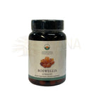 Dunkle bernsteinfarbene glasflasche mit schwarzem verschluss und cremefarbenem etiket mit ayurveda spezialist und boswellia serrata kapseln