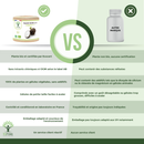 Organic black radish - dietary supplement - in capsules