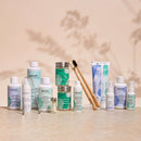 Dentifrice aux herbes Auromère Homéopathie 75 ml - sans menthe