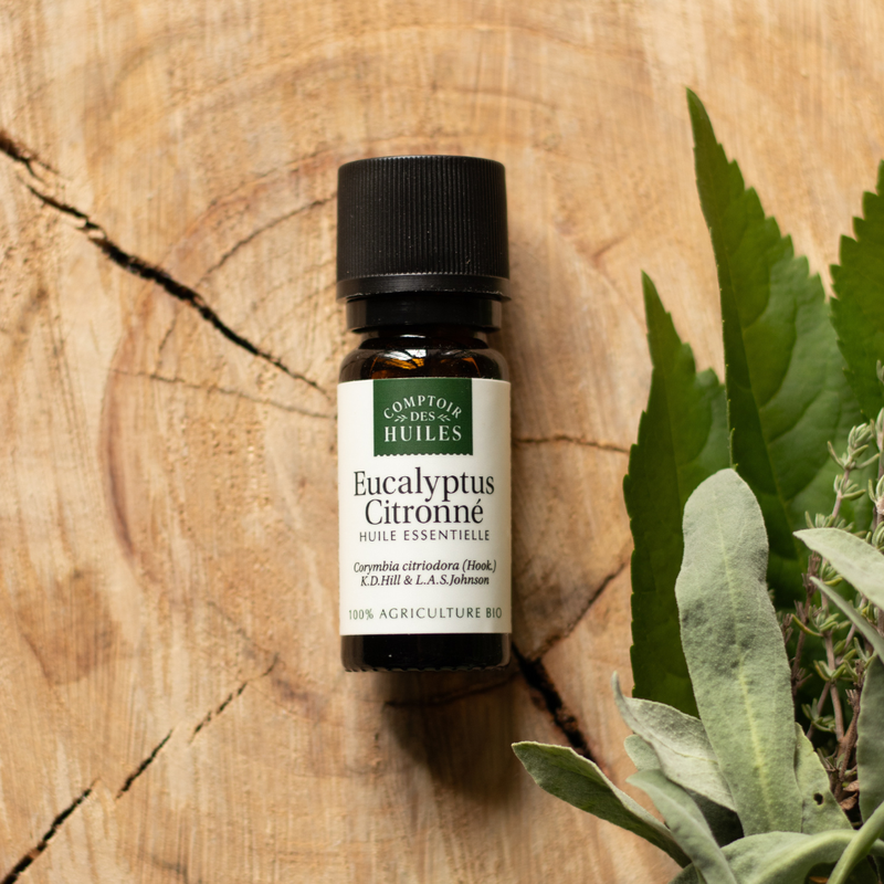 COMPTOIR DES HUILES - Ätherisches Zitronen-Eukalyptusöl BIO