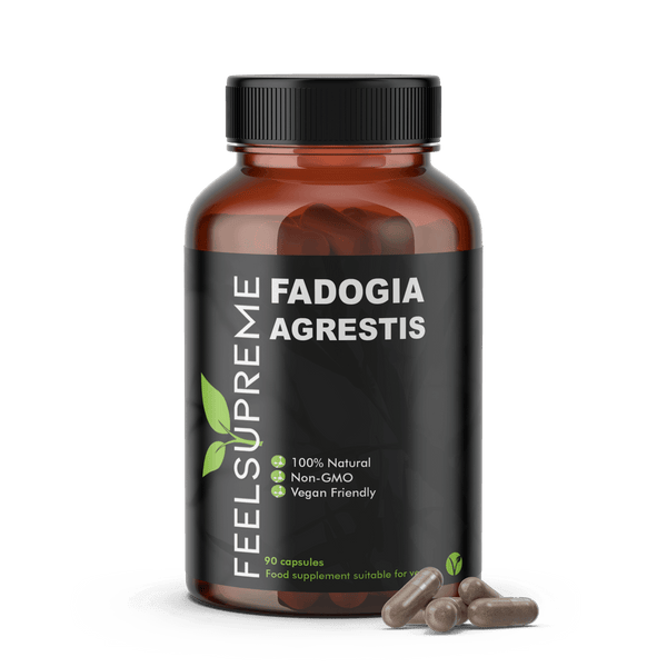 Fadogia Agrestis | Natürliches Testosteron-Booster-Ergänzungsmittel