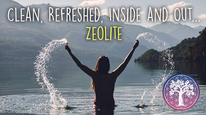 Ancient Purity – Zeolithpulver Fein (< 25 Mikron) 350g – Effektive natürliche Entgiftung & Schwermetallbindung