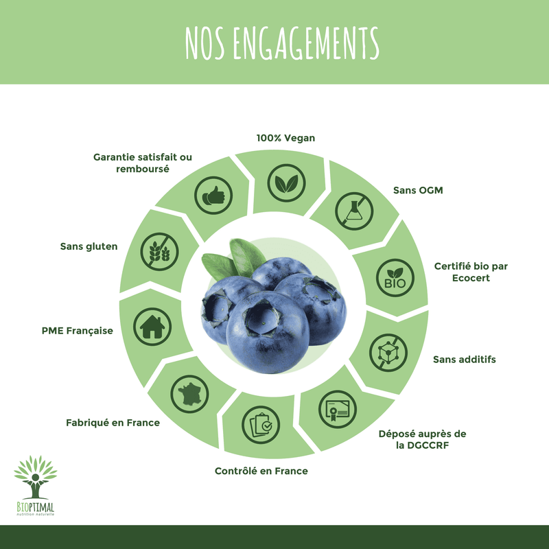 Organic Blueberry – Food supplement in capsules to support eye health