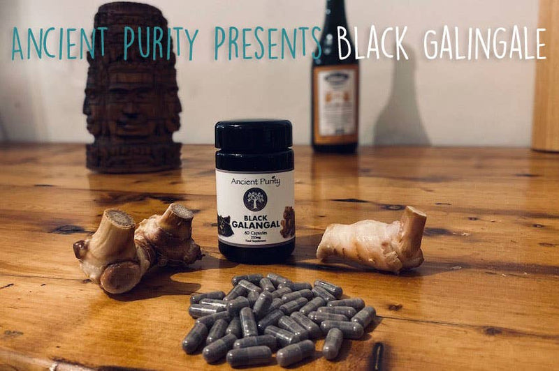 Ancient Purity - Black Galangal - 60 x 250 mg | Black Ginger | Male Libido