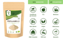 Organic blond psyllium powder