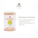 Capsules de Damiana 60 capsules de 495 mg - fatigue, épuisement, stress, nervosité