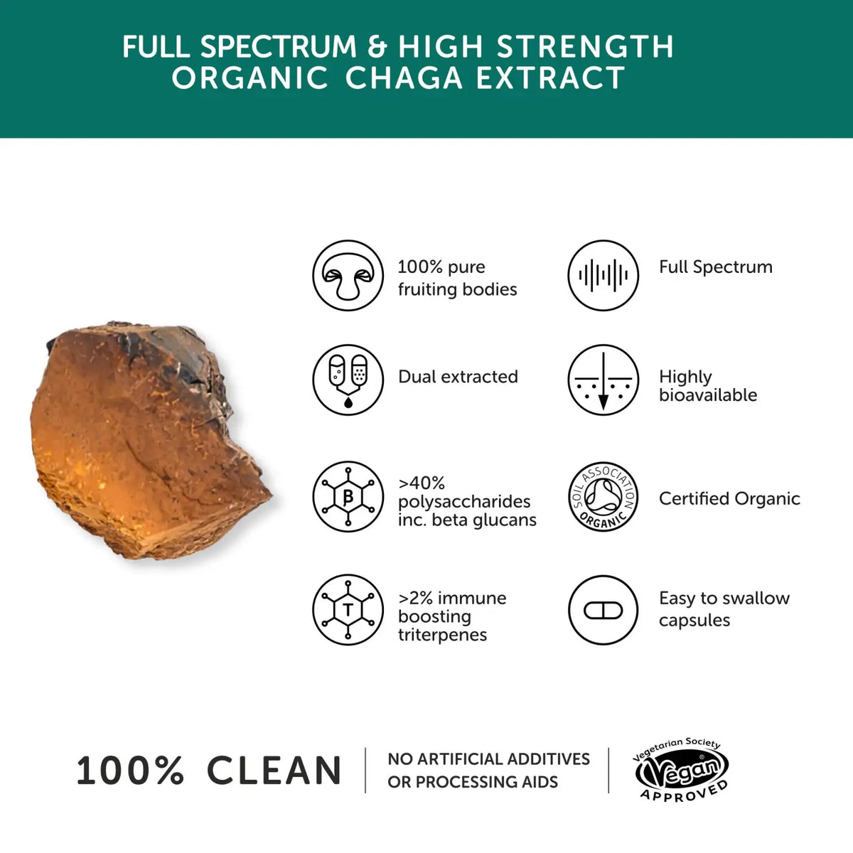 Chaga Mushroom 60 Kapseln