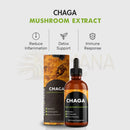 Amber glasflasche mit schwarzem tropfverschluss und chaga pilz flüssigextrakt zur unterstützung des immunsystems