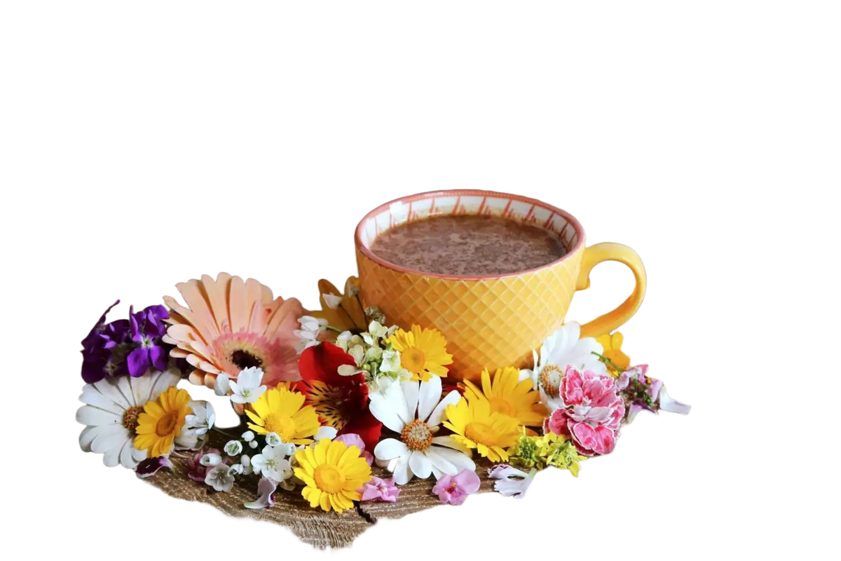 Tasse mit Choc Me Up Adaptogener Kakao- und Pilz-Mocha-Tee mit Reishi und Chaga, in einer weißen Tasse auf Holzuntergrund