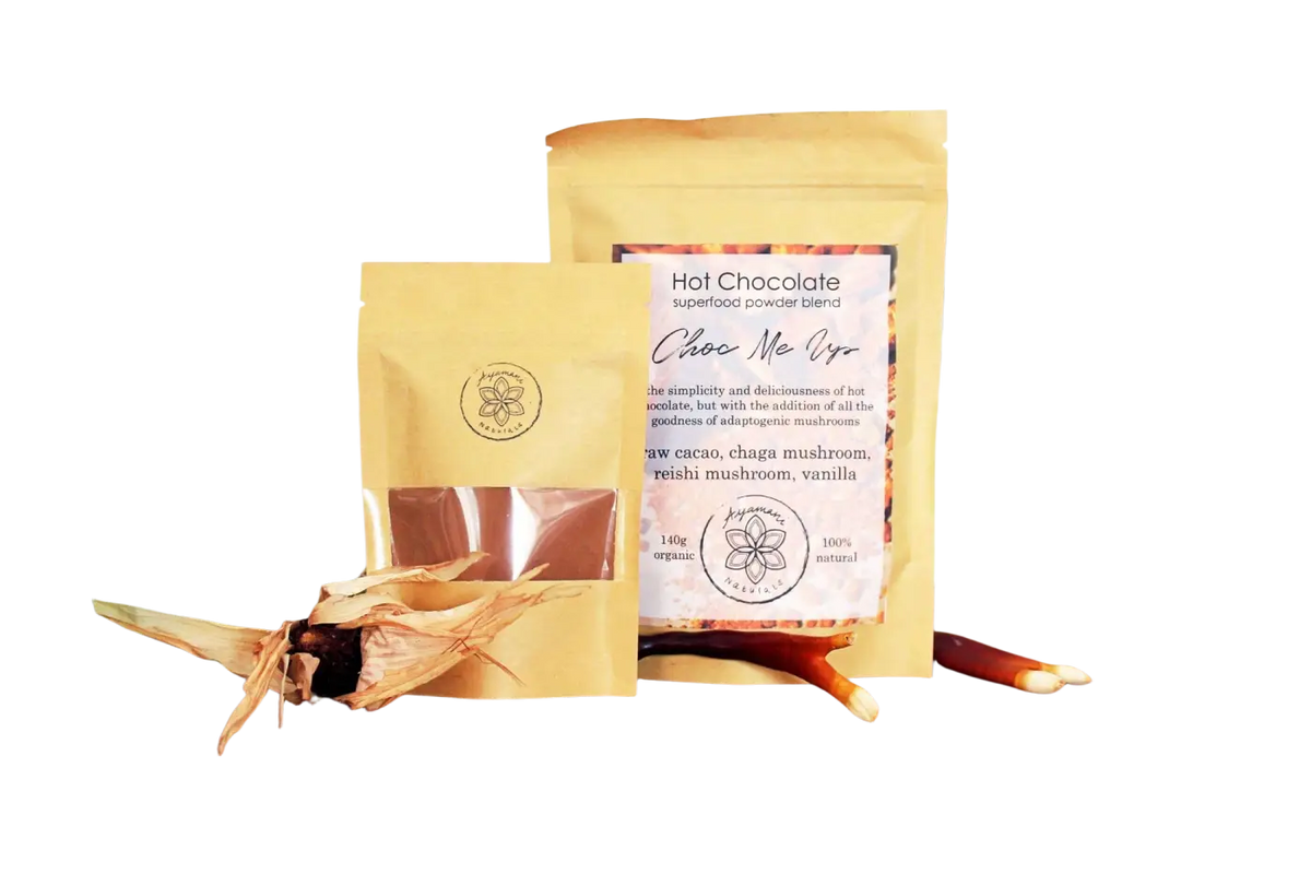 Tasse mit Choc Me Up adaptiven Cacao- und Pilz-Mocha-Tee, Reishi und Chaga, in einer weißen Tasse auf dunklem Untergrund