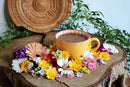 Ayamani Naturals Choc Me Up adaptogener Cacao- und Pilz-Mokka-Tee mit Reishi und Chaga, in einer Tasse auf weißem Hintergrund