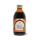 Ingwer Energie Tonikum von Classic Ayurveda in einer Flasche, enthält Ingwer, Amla, Ashwagandha und Brahmi, Gärgetränk