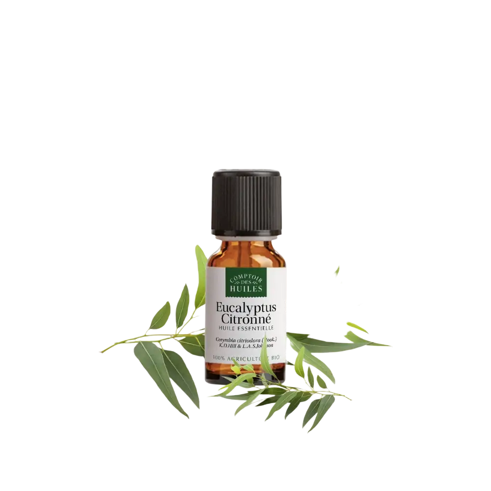 Ätherisches Zitronen-Eukalyptusöl von COMPTOIR DES HUILES, Bio, Flasche mit gelbem Öl und frischem Zitronen- und Eukalyptus-Duft