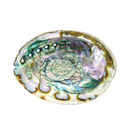 Iridescentes concha abalon muschelgefäss mit grün-blau-lila wirbelndem muster zum räuchern im mana shop
