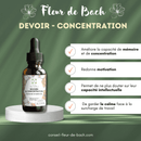 Bachblüten Hausaufgaben & Konzentration Tropfen von Conseil fleur de Bach, Flasche mit Tropfen für fokussiertes Lernen