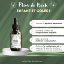 Bachblüten Kind & Wut Tropfen von Conseil fleur de Bach, Flasche mit Tropfen für natürliche Unterstützung bei Wutausbrüchen