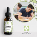Bachblüten Prüfung Tropfen von Conseil fleur de Bach, natürliche Unterstützung für Konzentration und Selbstvertrauen, Flasche mit Tropfen.