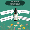 Bachblüten Prüfung Tropfen von Conseil fleur de Bach, Flasche mit Tropfen für Konzentration und Selbstvertrauen