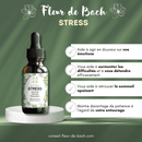 Bachblüten Stress von Conseil fleur de Bach, Flasche mit Bachblüten-Tropfen gegen Stress, auf weißem Hintergrund.