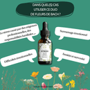 Bachblüten Stress von Conseil fleur de Bach, Flasche mit Bachblüten-Tropfen auf weißem Hintergrund.