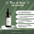 Nahrungsergänzung Bach-Blüten Melancholie von Conseil fleur de Bach, Flasche mit Tropfen zur Förderung von Lebensfreude und innerem Frieden