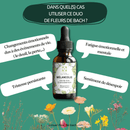 Nahrungsergänzung Bach-Blüten Melancholie von Conseil fleur de Bach, Flasche mit Tropfen, symbolisiert inneren Frieden und Lebensfreude