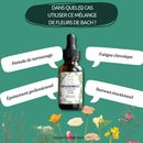Bachblüten Erschöpfung Nahrungsergänzung von Conseil Fleur de Bach, Flasche mit Bachblüten-Extrakt gegen Erschöpfung
