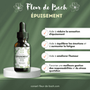Bachblüten Nahrungsergänzung von Conseil fleur de Bach zur Unterstützung bei Erschöpfung, Flasche mit Tropfen sichtbar