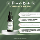 Nahrungsergänzung Bachblüten Selbstvertrauen von Conseil fleur de Bach, Flasche mit Etikett und Tropfen.