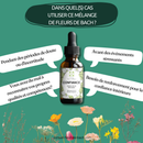 Bachblüten Selbstvertrauen Nahrungsergänzung von Conseil fleur de Bach, Flasche mit flüssigem Bachblüten-Produkt.