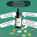 Bachblüten Wut Nahrungsergänzung von Conseil Fleur de Bach, Flasche mit Tropfen zur Förderung von innerer Ruhe und Gelassenheit