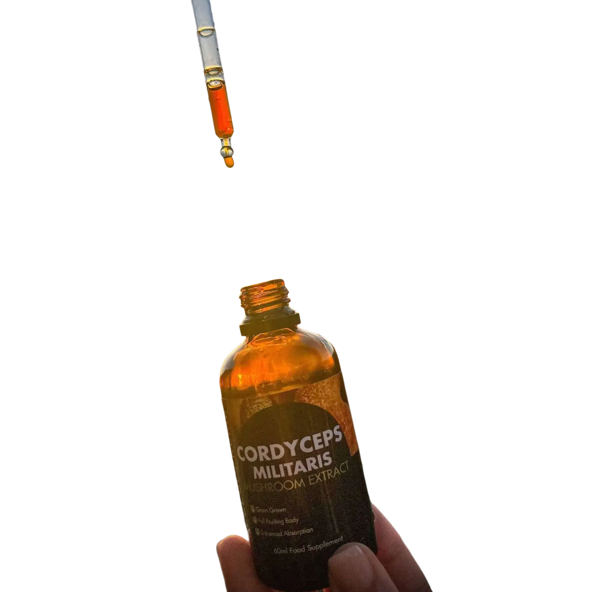 Flüssige Cordyceps Militaris Nahrungsergänzung von Feel Supreme in 60 ml Flasche, fördert Energie und Vitalität.