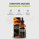 Amber glasflasche mit schwarzem tropfverschluss und label für cordyceps militaris flüssigextrakt neben passender box zur energie und vitalität