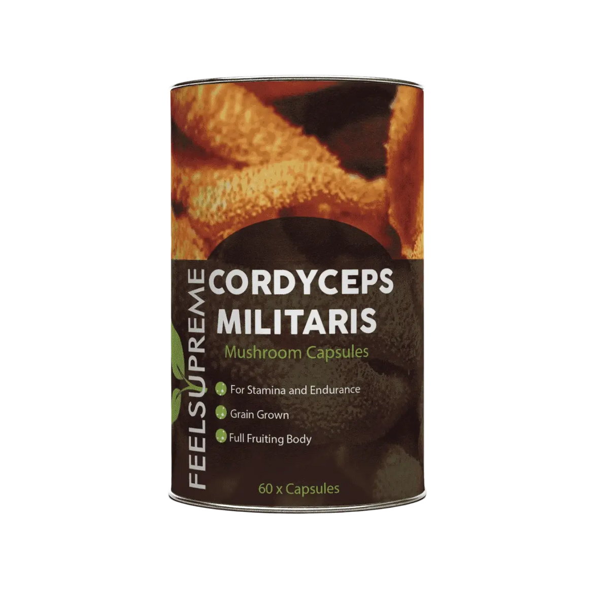 Natürliche Cordyceps Militaris Pilzkapseln in einer Blisterpackung, fördert Energie, Ausdauer und Leistungsfähigkeit.