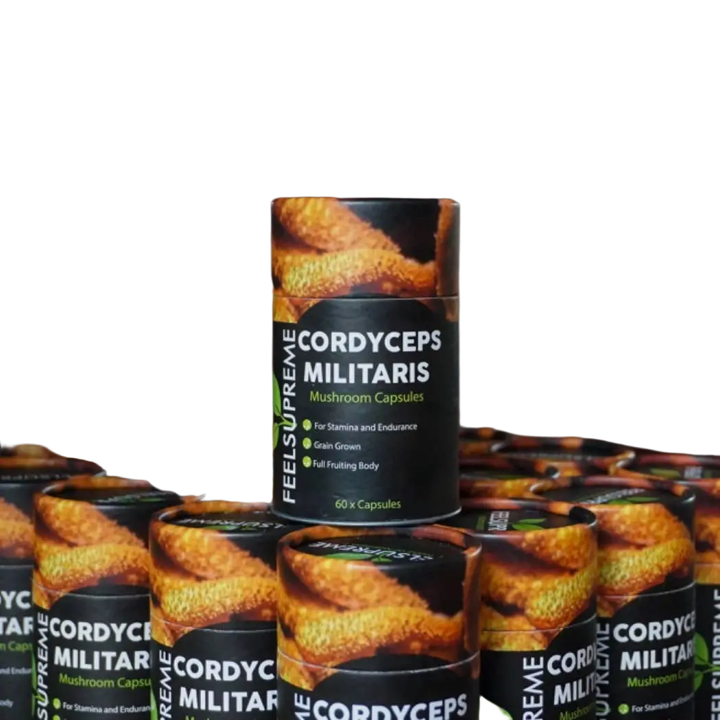 Natürliche Cordyceps Militaris Pilzkapseln von Feel Supreme, Nahrungsergänzung für Energie, Ausdauer und Leistungsfähigkeit.