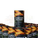Schwarzer zylinderförmiger behälter mit feelssupreme cordyceps militaris pilzkapseln und leuchtendem orangegelbem pilzbild für natürliche energie