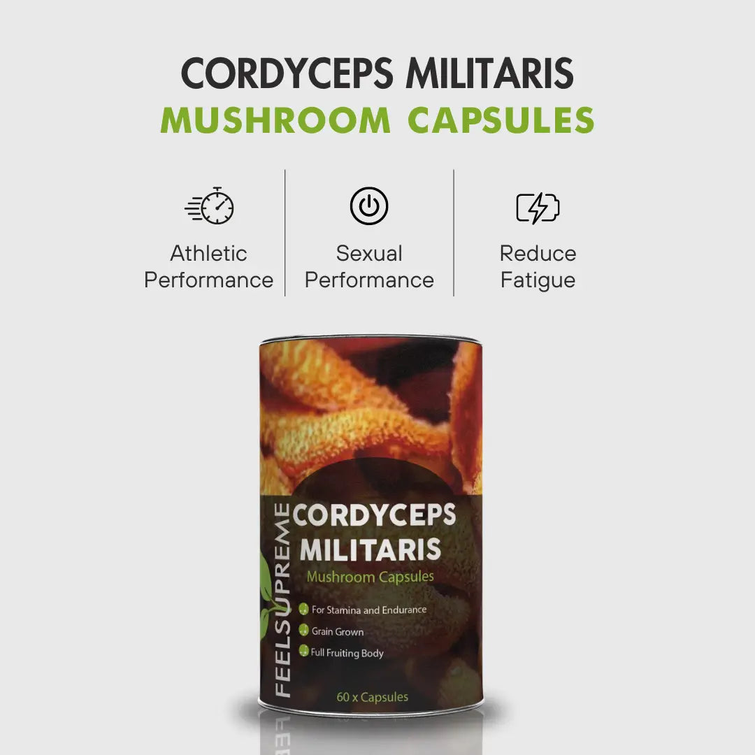 Natürliche Cordyceps Militaris Pilzkapseln von Feel Supreme für Energie, Ausdauer und Leistungsfähigkeit, in einer Dose.