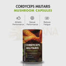 Zylindrischer behälter mit cordyceps militaris pilzkapseln von feelssupreme mit dunkelbraunem etikett und grünem text für natürliche energie