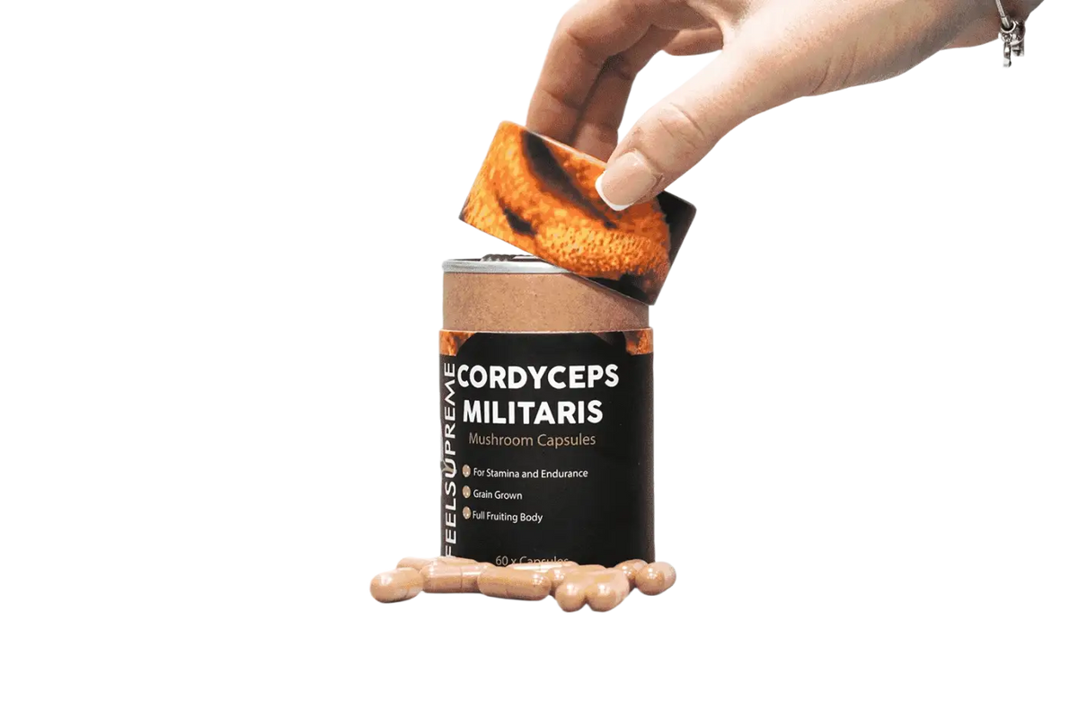 Natürliche Cordyceps Militaris Pilzkapseln von Feel Supreme zur Steigerung von Energie, Ausdauer und Leistungsfähigkeit.
