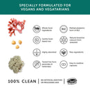 Vegan Multi — Complément alimentaire végétalien - 60 capsules, B12, fer, calcium - Fatigue