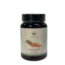 Ayurveda Specialist BV – Satavari (Shatavari) gélules de 500 mg
