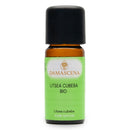 Bio Litsea Cubeba ätherisches Öl von Damascena, 10ml Flasche mit frischem, gelbgrünem ätherischem Öl in Glasflasche