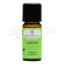 Ein kleines bernsteinfarbenes glasfläschchen mit schwarzem verschluss und grünem label damascena cajeput bio cajeput bio ätherisches öl 10 ml für aromatherapie und wohlbefinden