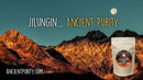 Ein Beutel "Ancient Purity Jilungi" Tee steht vor einer majestätischen Berglandschaft bei Nacht mit einem Vollmond. Der Markenname ist am unteren und oberen Bildrand sichtbar.