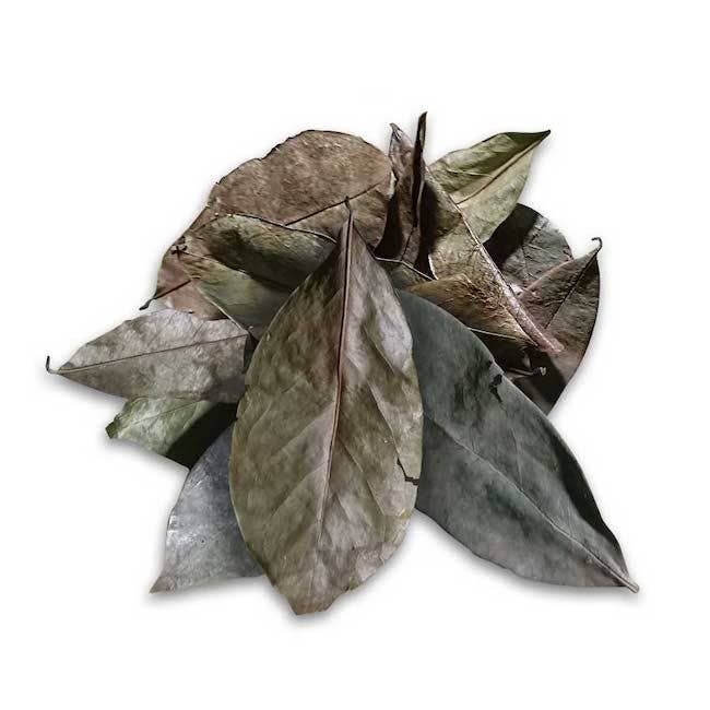 Ancient Purity, Soursop-Blätter  20g