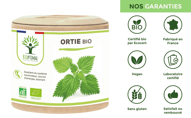 Organic Nettle – Food supplement in capsules for joint health and drainage