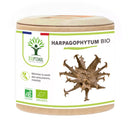Harpagophytum Bio - Digestion, Appétit, Articulations - Complément alimentaire - en gélules