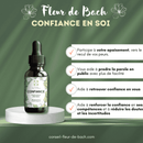 Bachblüten Selbstvertrauen